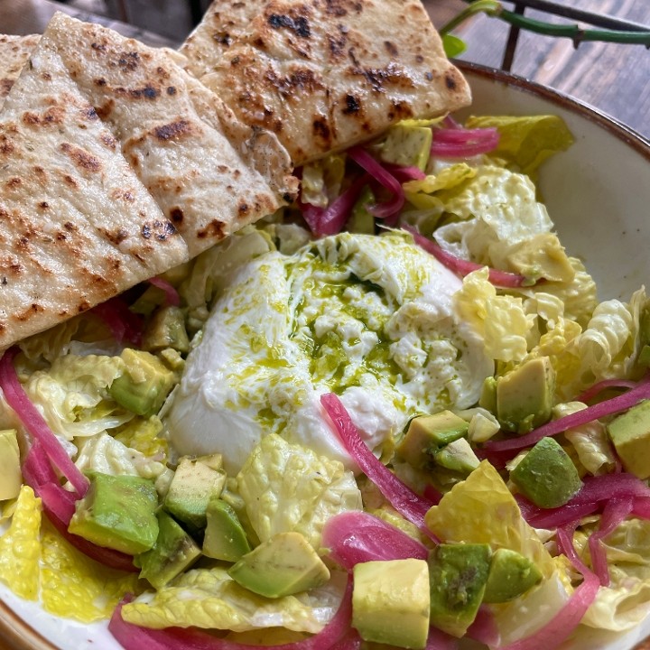 Avocado Burrata