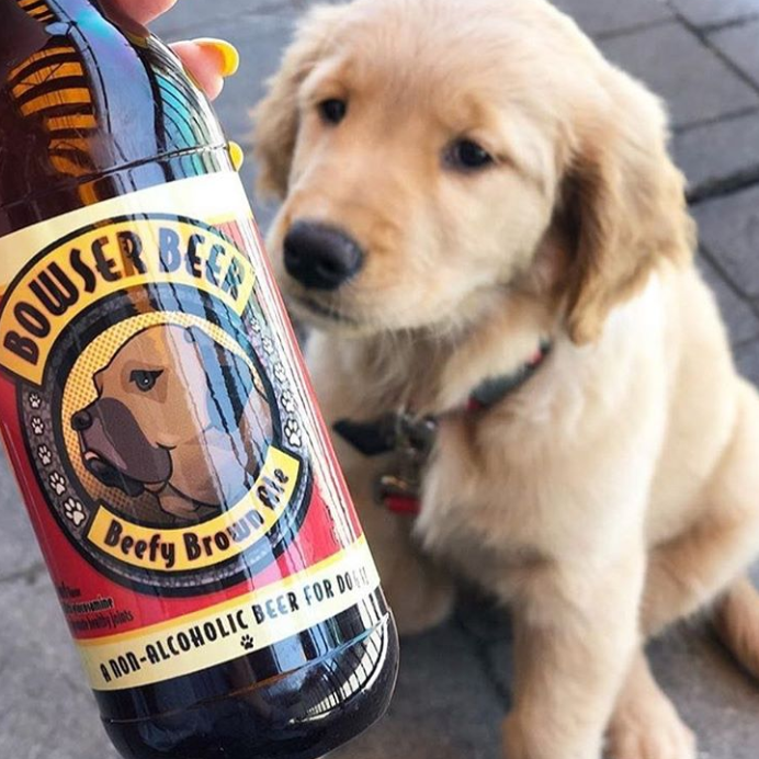 Dog Beer