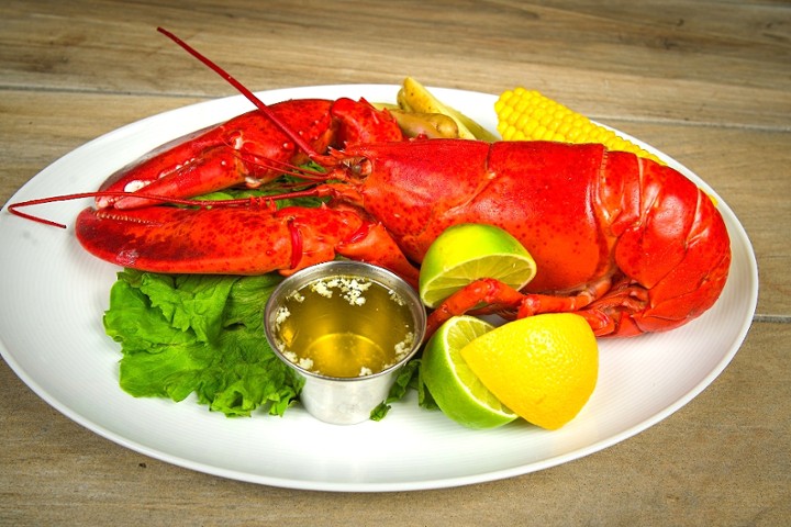 Whole Lobster (1 and 3/4 lb)