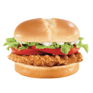 Crispy Chicken Burger SPECIAL