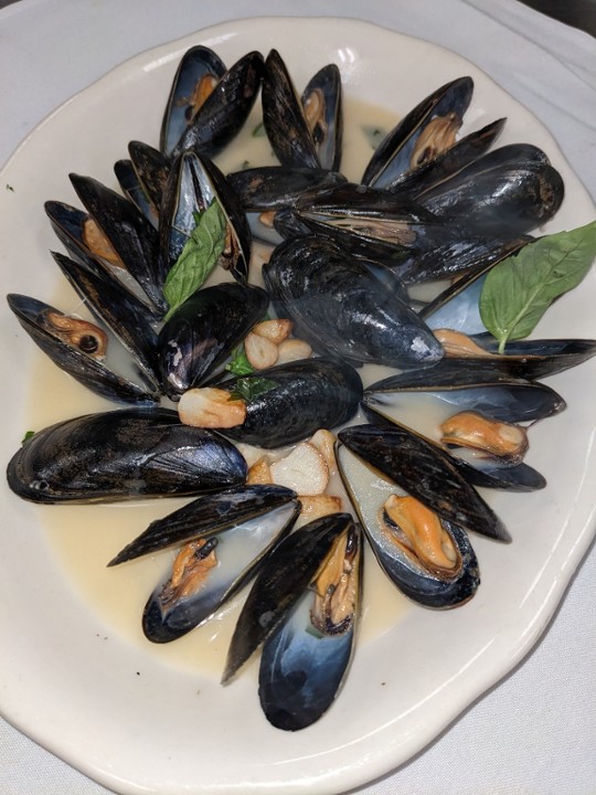 Mussels