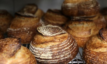 The SoNo Baking Company & Cafe South Norwalk