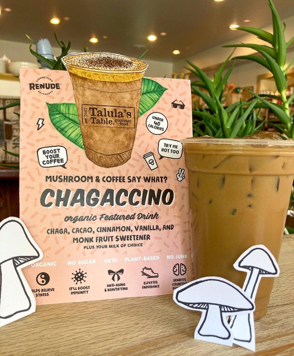Chagaccino Mushroom Latte! (Hot or Iced)
