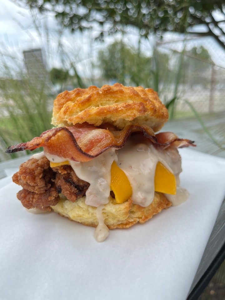 Handsome Biscuit - Norfolk