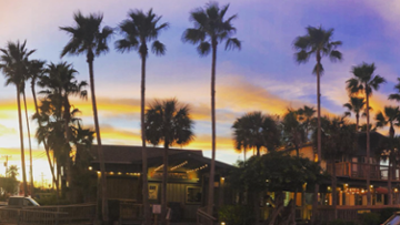Castaway’s Seafood and Grill