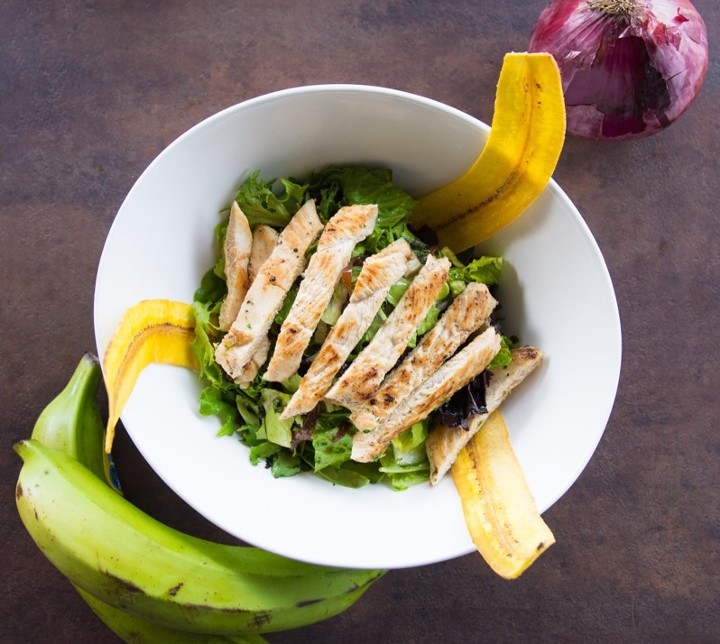 Grilled Chicken Salad