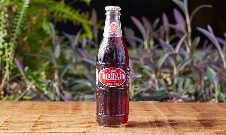 Order Cheerwine food online from Martin's Bar-B-Que Joint store, Nolensville on bringmethat.com