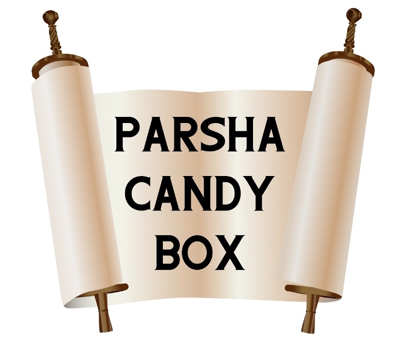 Parsha Candy Box