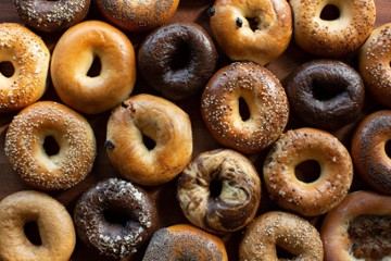 Boichik Bagels Larkspur
