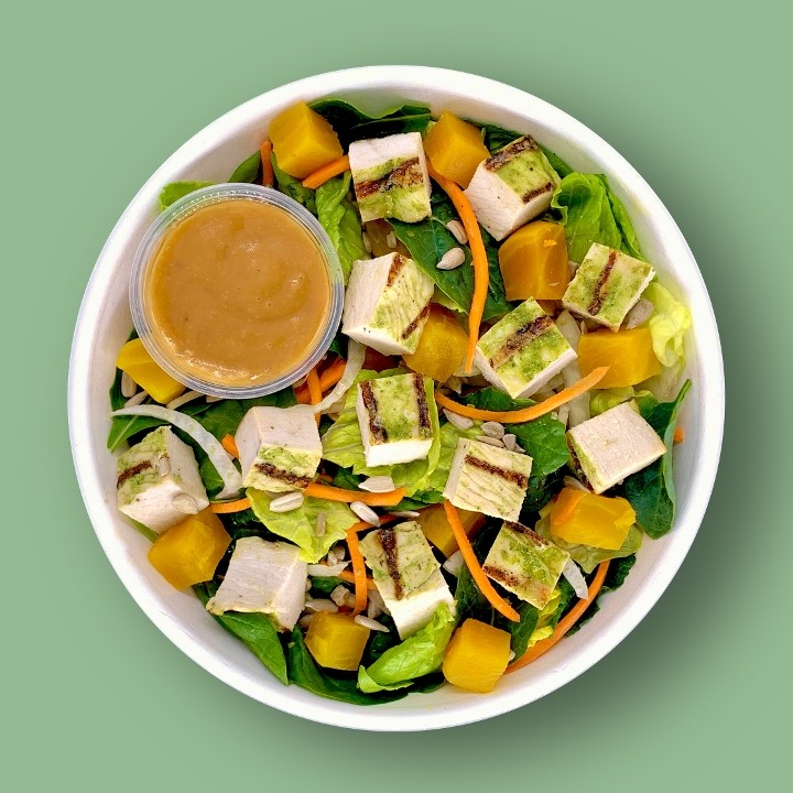 Superfine Garden Salad with Grilled Chicken
