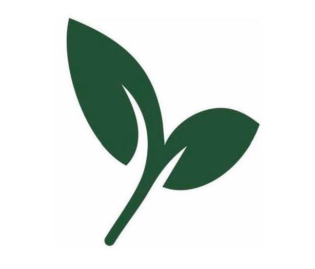 Zuke's Tea Bar | Union Grove