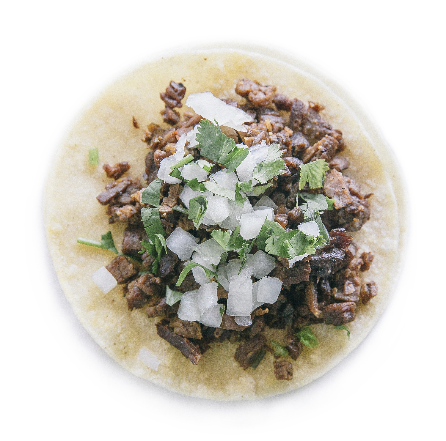 Celina Large Fountain Drink