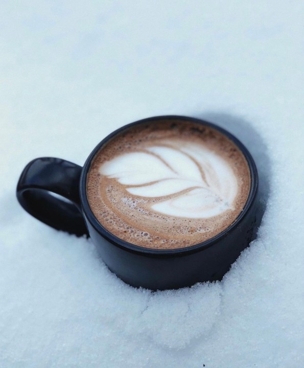 Mocha 16oz