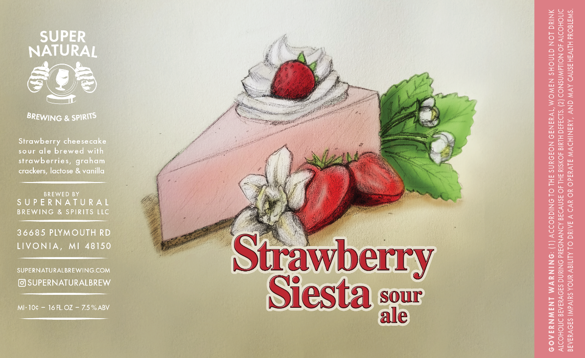 Single Strawberry Siesta 16oz Can - Strawberry Cheesecake Sour Ale