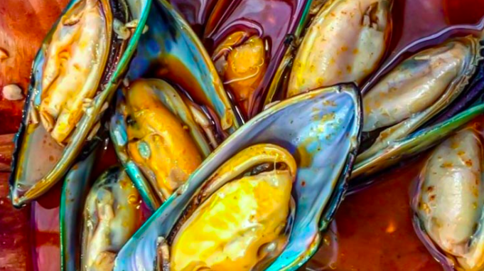 Mussels