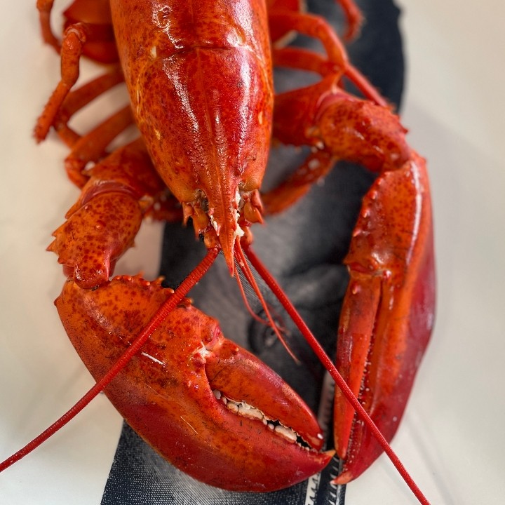 1.5 lb. Lobster Dinner