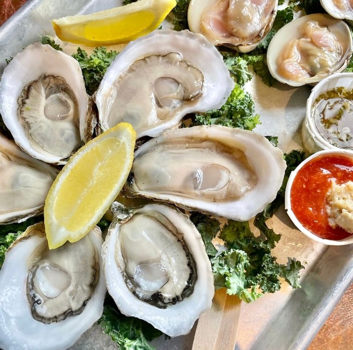 Oysters Six