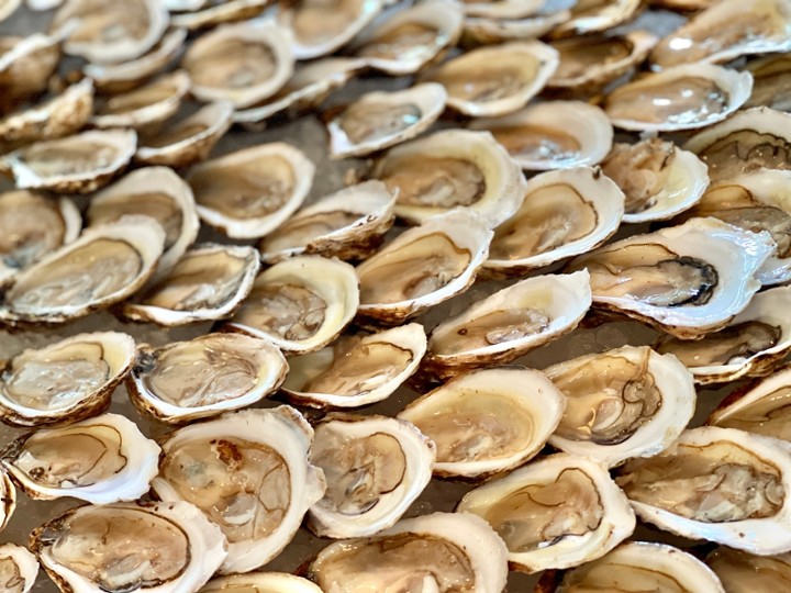 Oysters Dozen