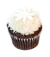 GF Chocolate Coconut Cupcake