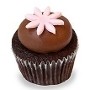 GF  Sweet Chocolate Cupcake