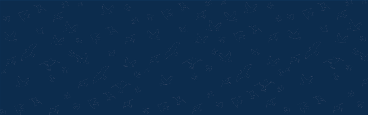 The Social Birdy