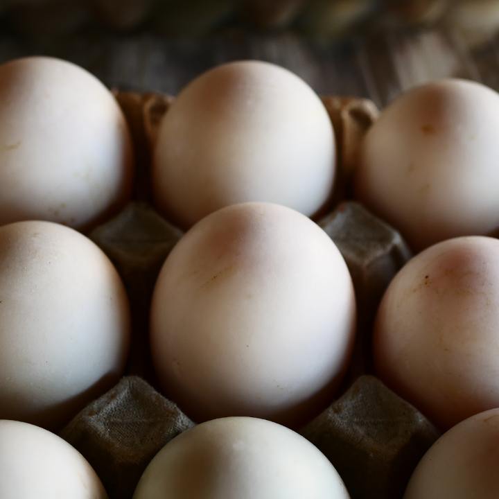 THE BLACK COOP CO FRESH DUCK EGGS (6ct)