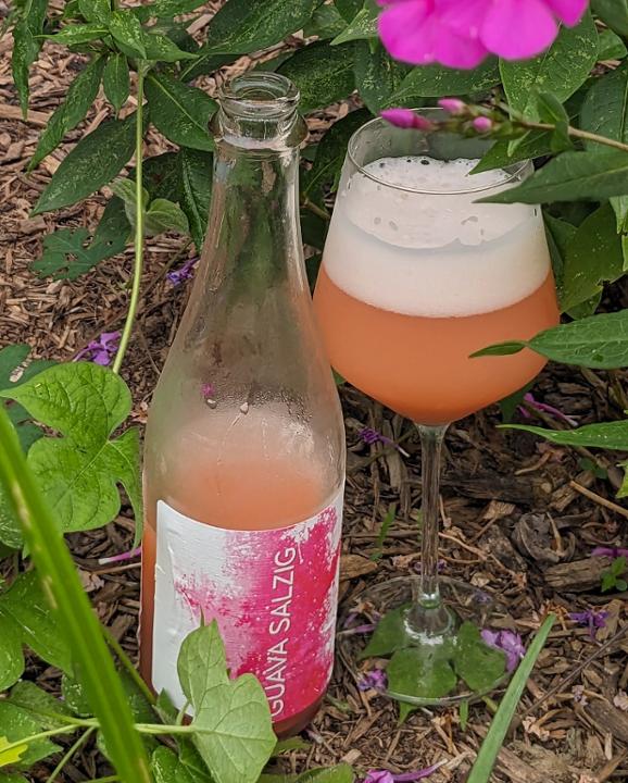 Guava Salzig 500ml Bottle