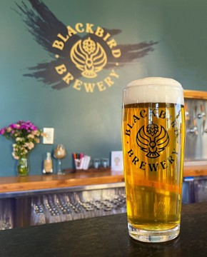 Blackbird Brewery 3608 Rogers Branch Rd Suite 101