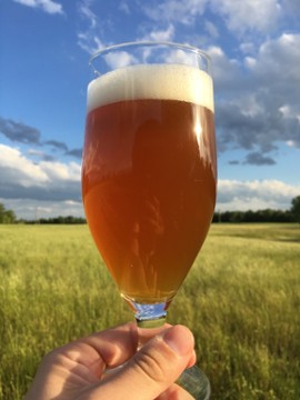 Good Girl Brewing Co.