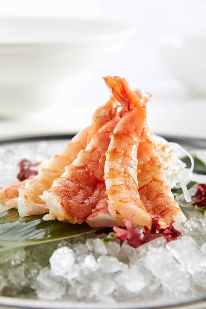 Shrimp / Ebi Sashimi