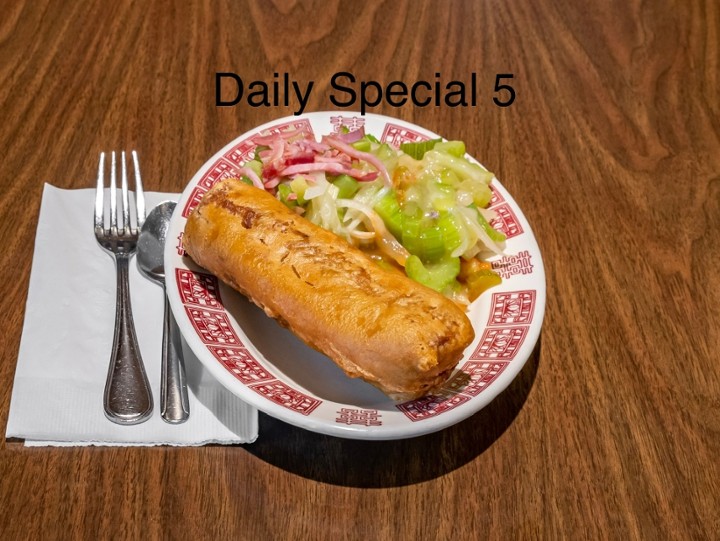 Sp 5. Pork Chow Mein (crunchy noodles) & Egg Roll