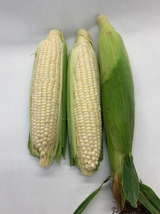 White Corn (each ear)