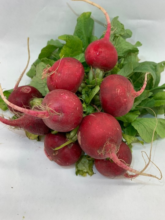 Red Radishes (bunch)