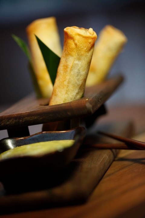 Crispy Chicken Spring Rolls