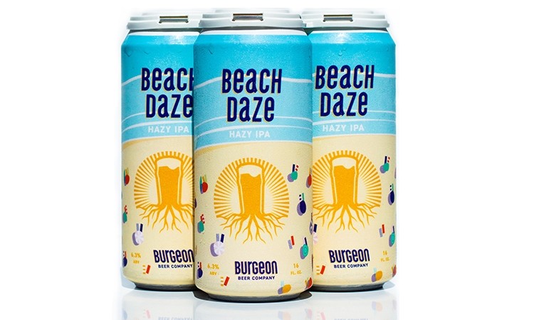Beach Daze Hazy IPA - 4 Pack
