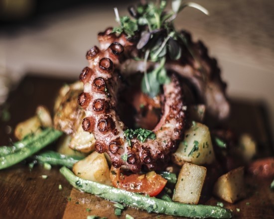 Red Octopus