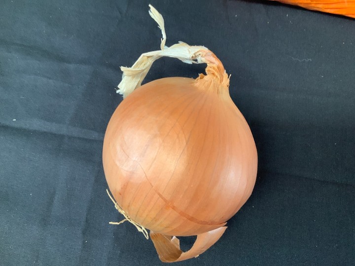 Yellow Onion (each) (11 to 12 oz)