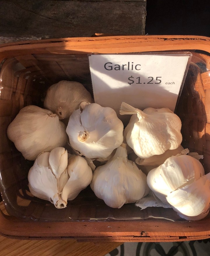 Fresh Garlic, each