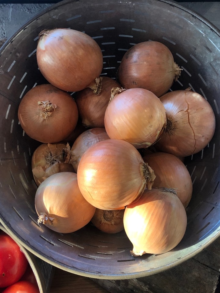 Jumbo Spanish Onions, per pound
