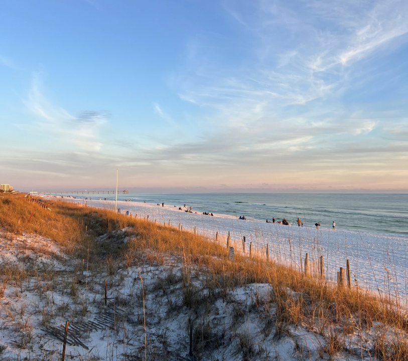 Vincenzo's Italian Bistro