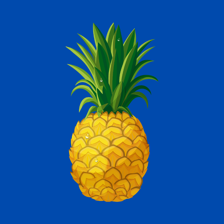 Pineapple Pina