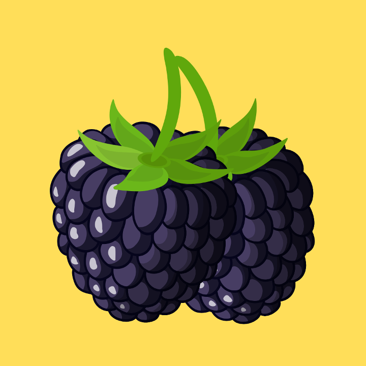Blackberry Mora