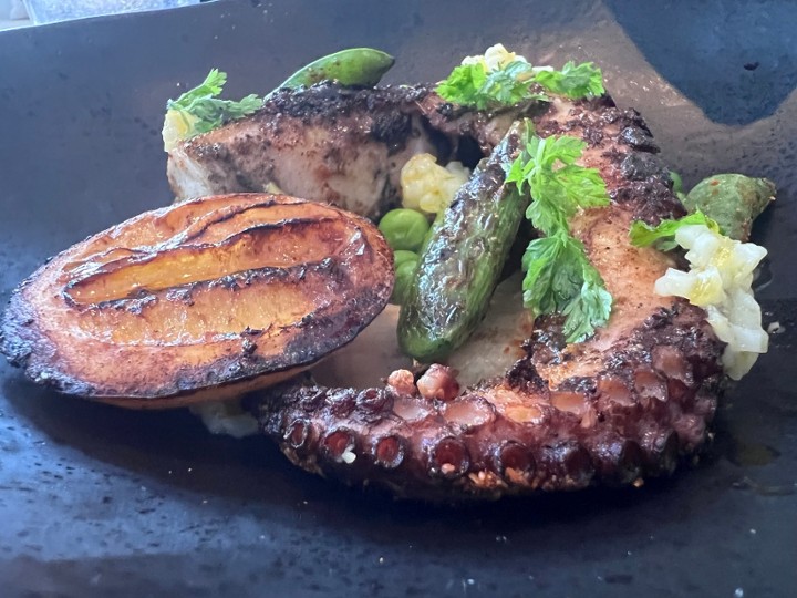 Grilled Octopus Appetizer