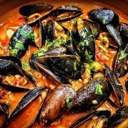 Nino's Pizzeria and Restaurant
18767 S. Tamiami Trl