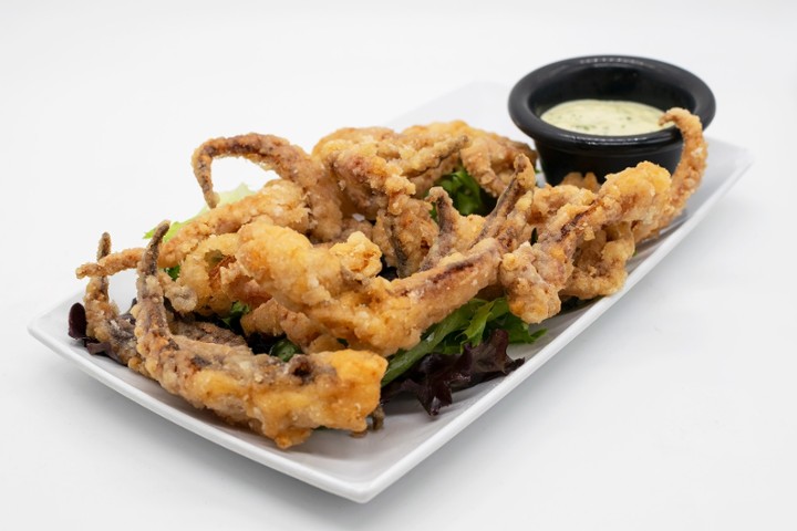 Fried Calamari