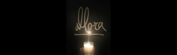 Allora 504 NW 9th Ave, Portland OR 97209