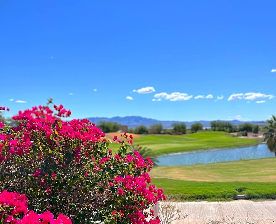 Iron Wolf Golf and Country Club 3275 North Latrobe Drive
