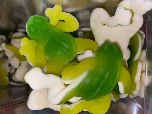 *Giant Gummi Frogs - SALE
