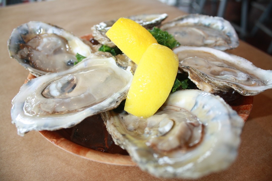 Oysters (6)