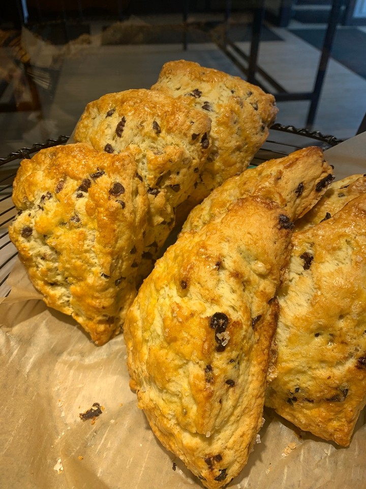 CHOCOLATE PECAN SCONE